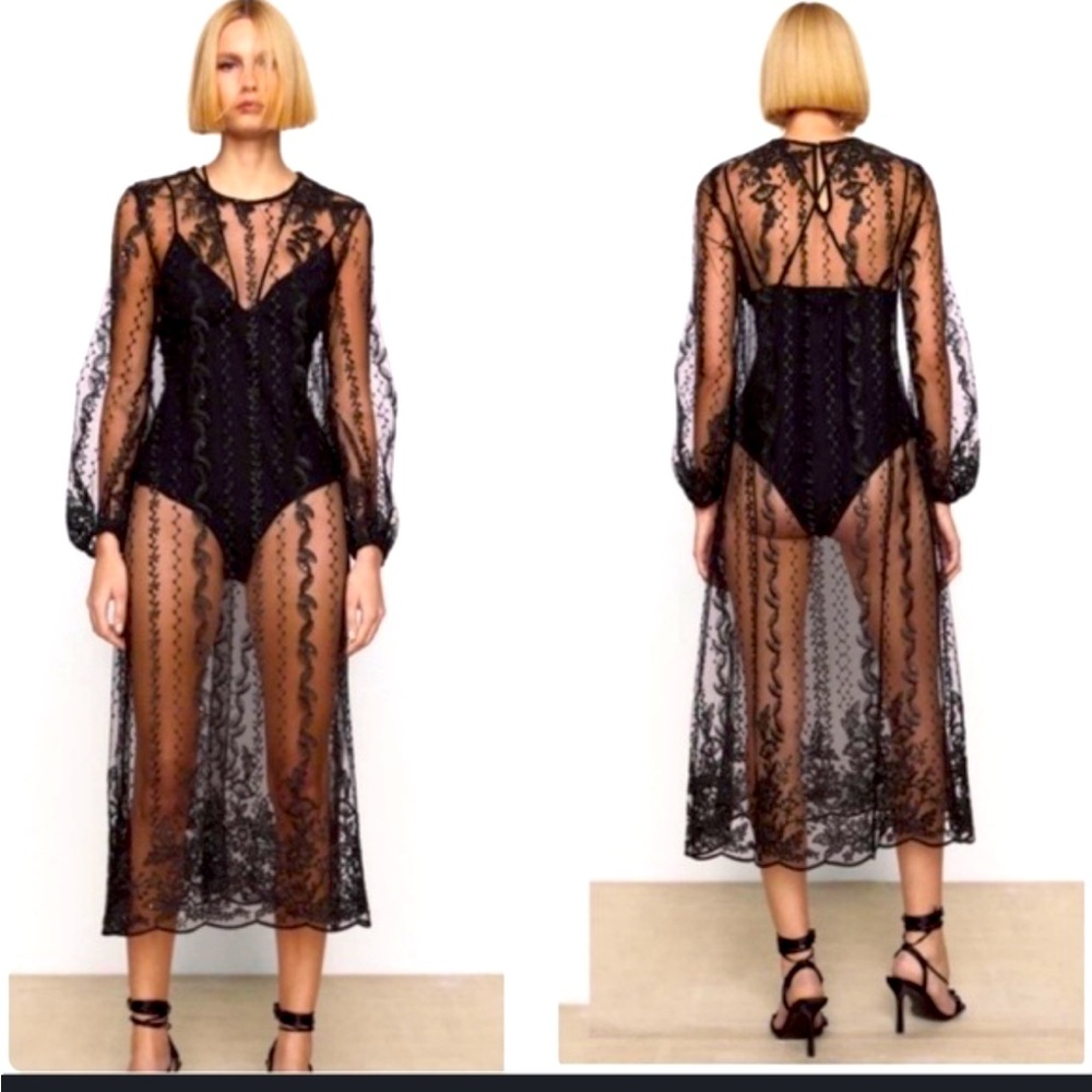 Zara limited edition sequin with embroidery tulle dress